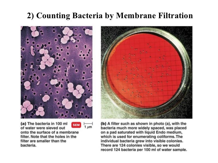 5 6 microbial nutrition & growth