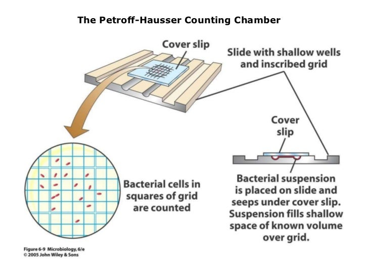 5 6 microbial nutrition & growth