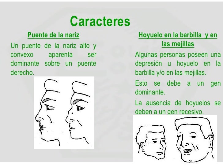 La pigmentación de la piel las cicatrices
