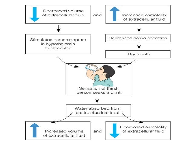 extracellular fluid volume excess extracellular fluid volume excess