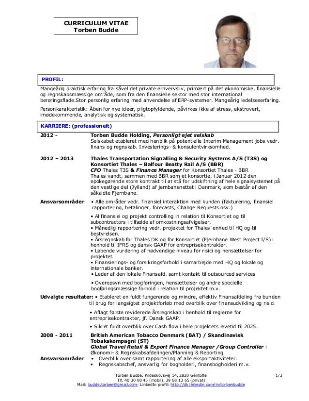 curriculum vitae dansk eksempel curriculum vitae dansk eksempel