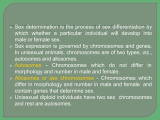 Sex Determination PPTX