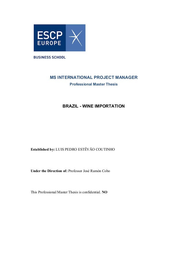 Master thesis project portfolio management