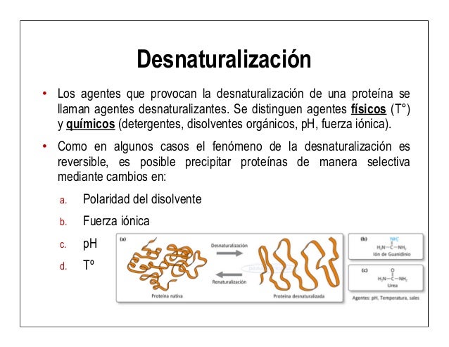 5 aa y proteínas