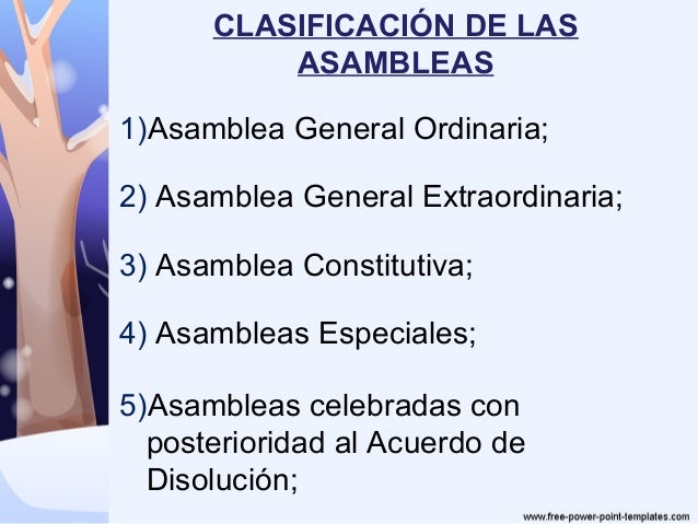 5 asamblea general_de_la_s.a