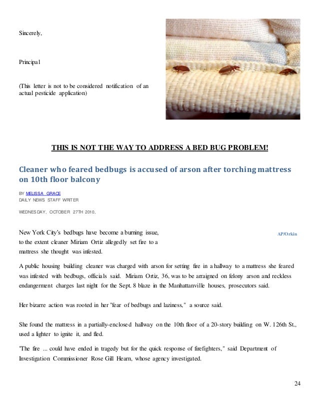 application letter for beed bed bug guide for schools with additional graphics for a5 application letter for beed bed bug guide for schools with additional graphics for a5