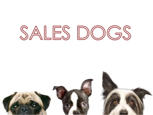 5 types of dogs 5 breeds of sales dogs 5 types of dogs 5 breeds of sales dogs
