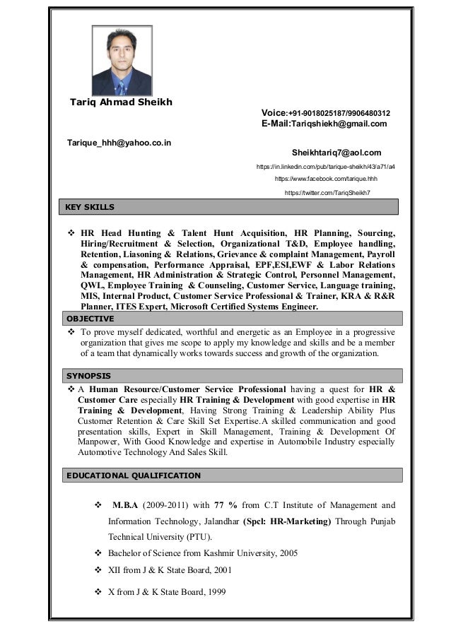 professional cv writing format