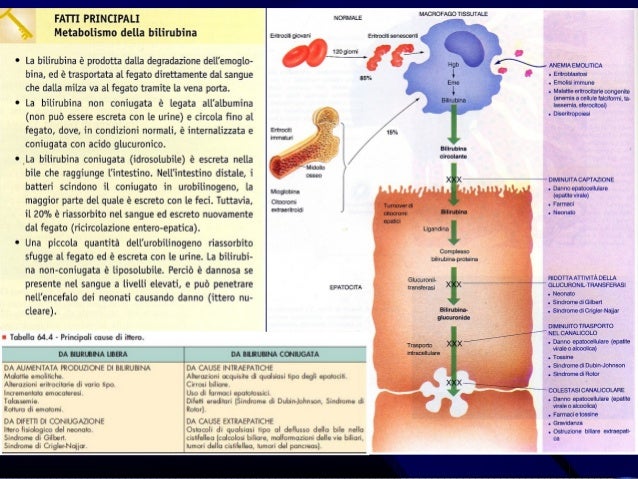 Albergo con trattamento di varicosity