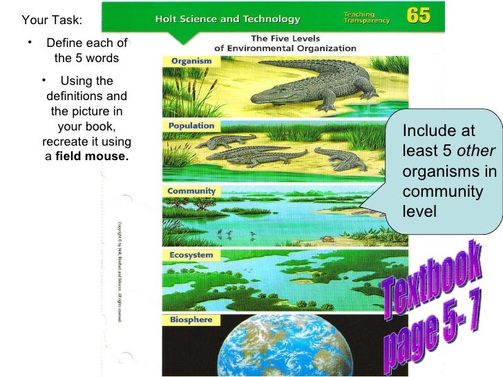 5 Levels Of Environmental Organization