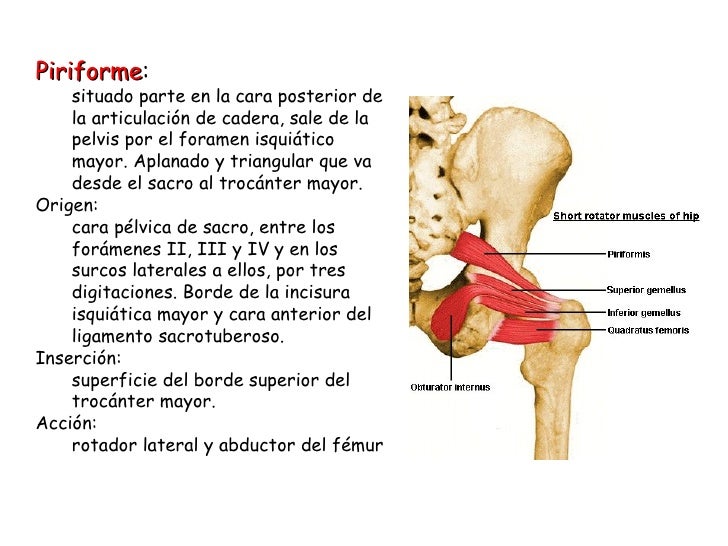 5°miología2010