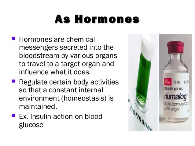 Chemical Reactions That Build Or Break Down Materials Chemical Reactions That Build Or Break Down Materials