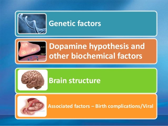 schizophrenia case study quizlet Introduction: schizophrenia is an extremely complex mental disorder: in fact it is probably many illnesses masquerading as one tags: schizophrenia case study. schizophrenia case study quizlet Introduction: schizophrenia is an extremely complex mental disorder: in fact it is probably many illnesses masquerading as one tags: schizophrenia case study.