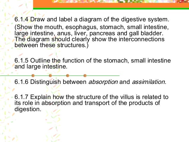 Diffusion Diagram Labeled 6.1.4 Draw And Label a Diagram