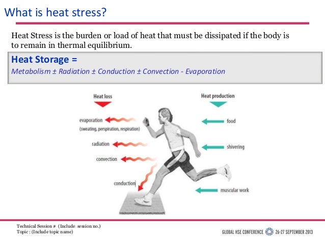 Case Study On Stress - by Speaknowhannahg
