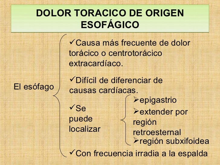 Los dolores en la espalda a la izquierda en lo bajo de la causa