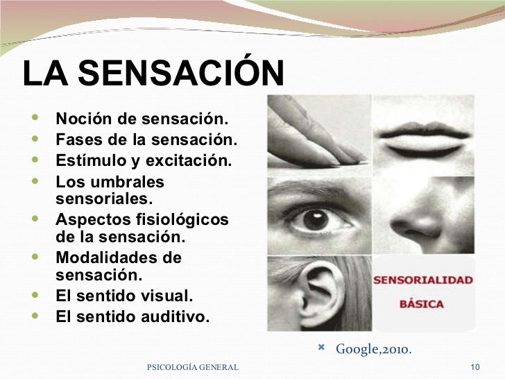 SENSACIÓN Y PERCEPCIÓN - FANNY JEM WONG