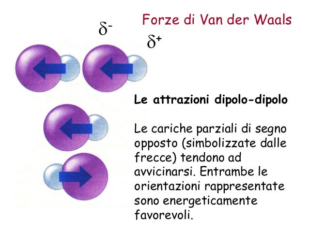 Le Forze Intermolecolari Di Van Der Waals Agiscono Solamente I vari legami chimici