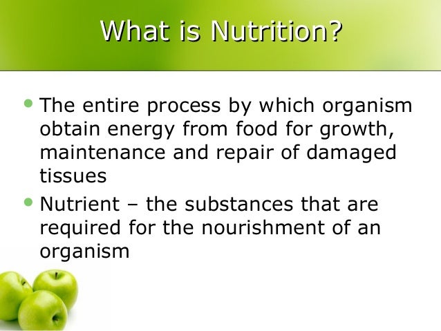 what is in food 6570567 61 types of nutrition what is in food 6570567 61 types of nutrition