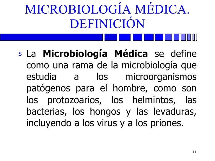 Los medios públicos de la hierba de las lombrices y los parásitos