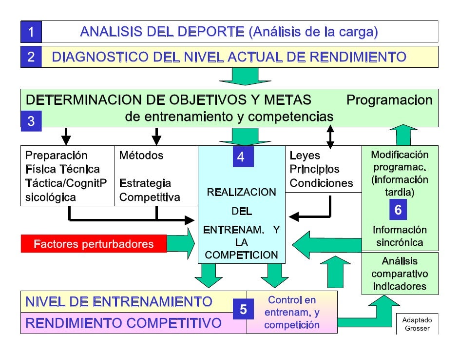 Puede La Medicion Y El Analisis Del Deporte Formar Campeones