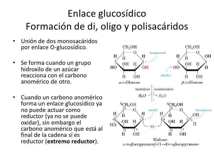7 Carbohidratos 7 Carbohidratos