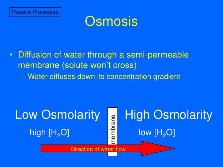 7Membrane Transport I