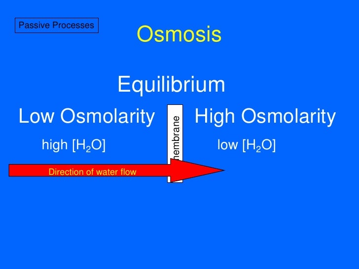 7Membrane Transport I