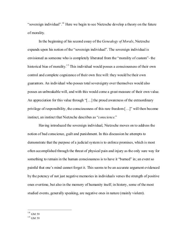 Nietzsche essay