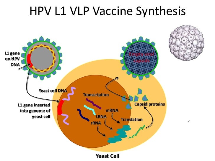 Influenza Virus Vaccine, Live Influenza Virus Vaccine, Live