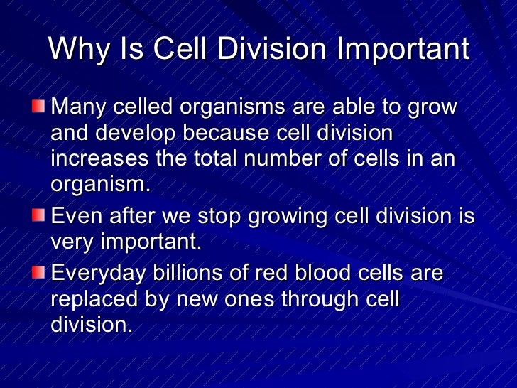 Chapter 4 cell Division Mitosis DNA Protein Production