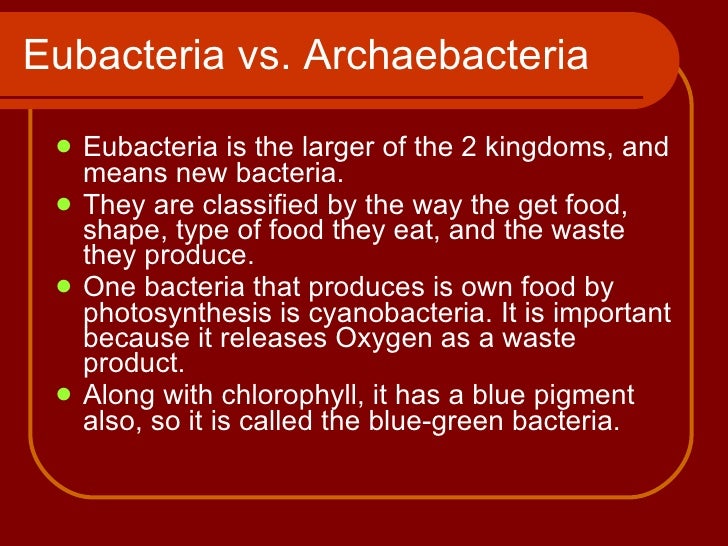 Chapter 7 bacteria