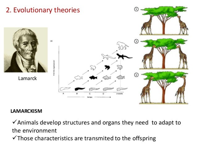 origin and evolution of life pdf origin and evolution of life pdf