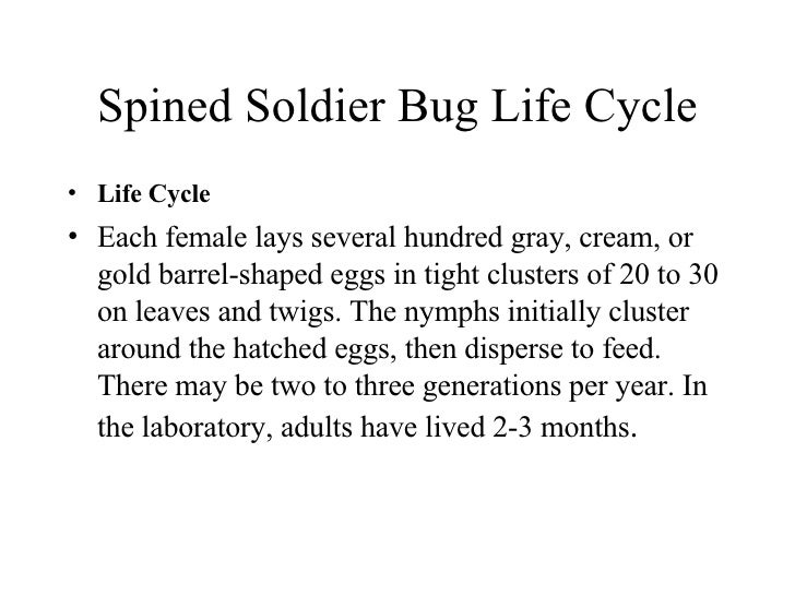 8 Beneficial Insects