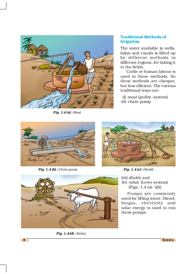 8 crop production and management