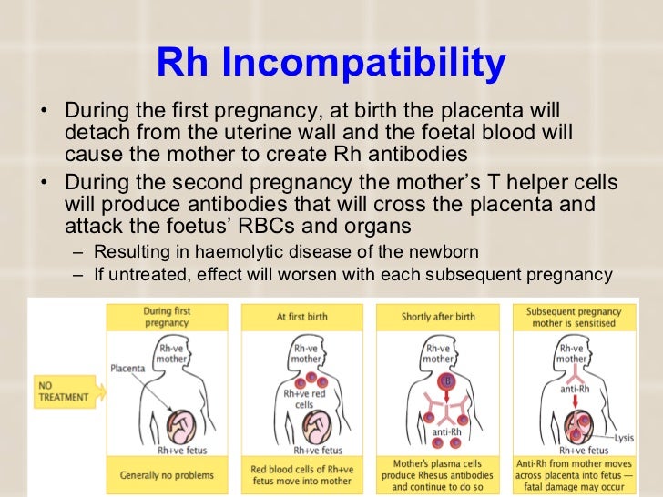 8 Immunity Defence Against Disease
