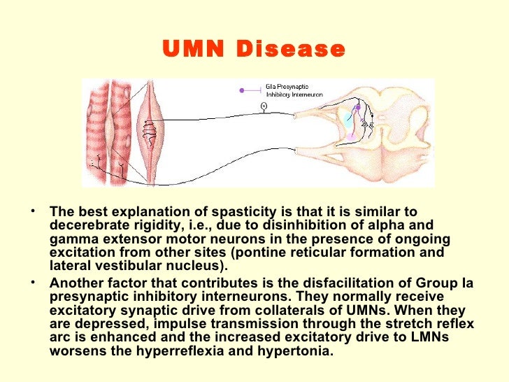 8. motor control0809