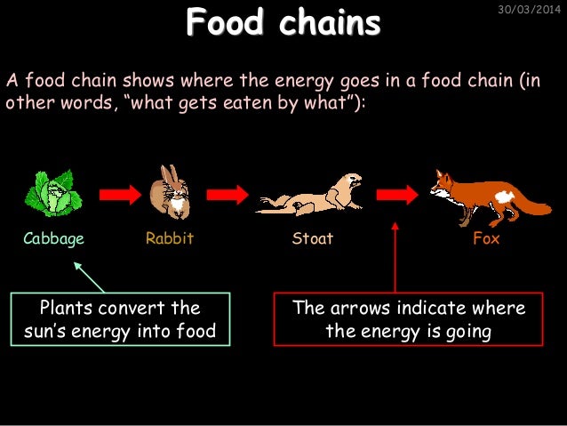 8 d ecological relationships (whs) Biology Diagrams