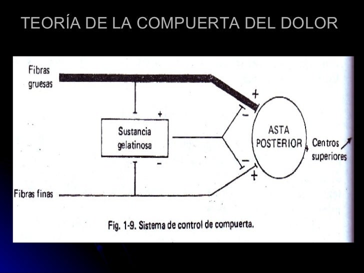 8.Dolor Abdominal