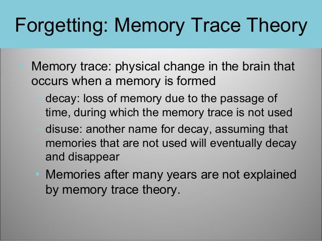 Flashback Essay