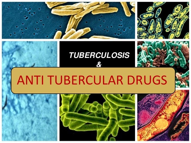 tuberculosis and sociology David s barnes associate professor tuberculosis then and now: history, anthropology, and sociology of health and disease. tuberculosis and sociology David s barnes associate professor tuberculosis then and now: history, anthropology, and sociology of health and disease.