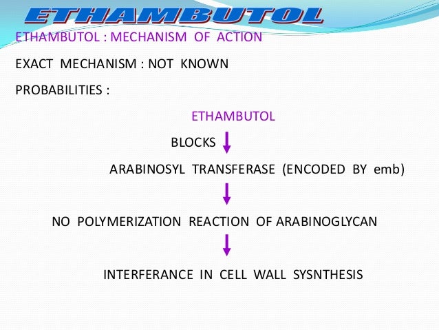 gene sysnthesis gene sysnthesis