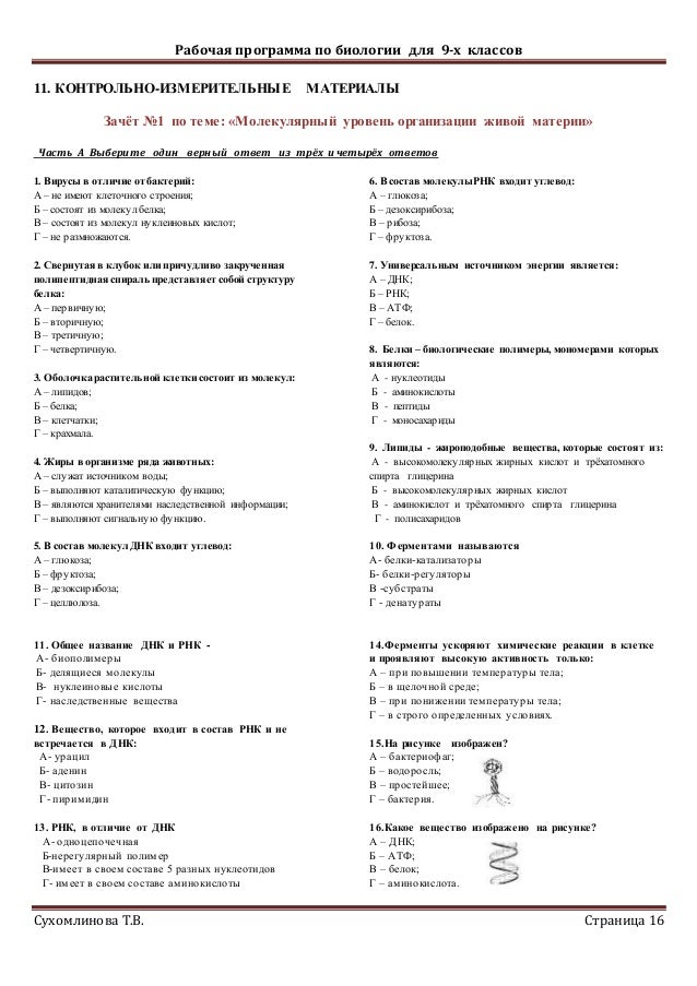 Тест по биологии молекулярный уровень 9 класс