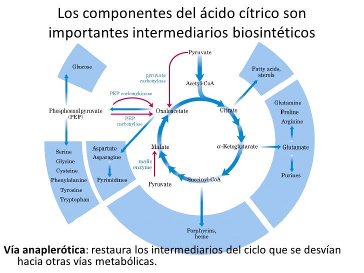 Unidad-I: OXIDACIONES BIOLÓGICAS (Cuestionario p/semana: 14-21 agosto, 2016) 9-tca-13-728