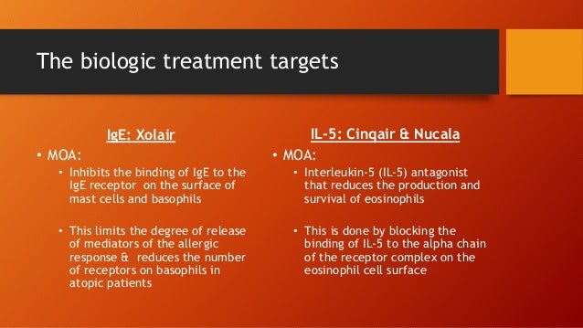 Cinqair forecasting Cinqair forecasting