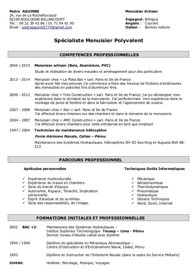 cv type menuisier