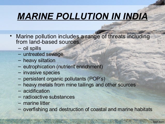 pollution and marine life essay Plastic pollution in our oceans and its negative effects on marine life essay kitchen custom essay сontact us pollution and effects on marine life (essay sample. pollution and marine life essay Plastic pollution in our oceans and its negative effects on marine life essay kitchen custom essay сontact us pollution and effects on marine life (essay sample.