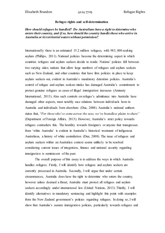 types of refugees essay