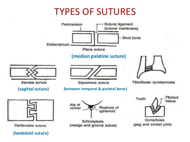 SUTURING: THE BASICS - Practical Plastic Surgery