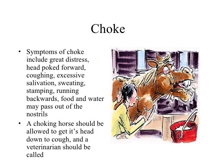 Diseases And Disorders